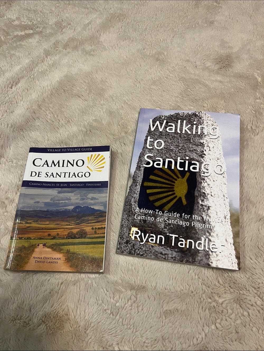 Camino de Santiago & Walking to Santiago Book Set